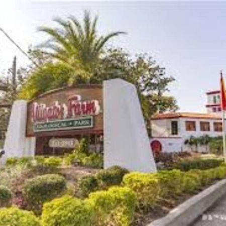 סיינט אגוסטין Beach Side Complex B23 1 Bed 1 Bath W/Heated Pool מראה חיצוני תמונה